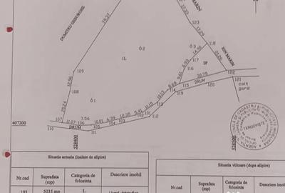 Teren de 5394 mp, în Râu Alb - 1