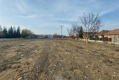 TEREN INTRAVILAN DE INCHIRIAT  IN EXCLUSIVITATE IN ONESTI - 4