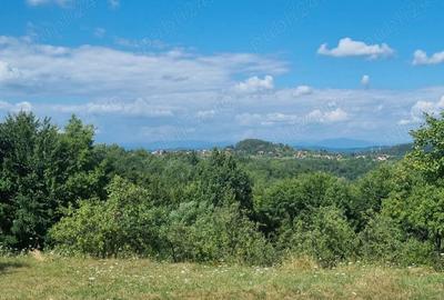 Teren în Milcoiu - 2