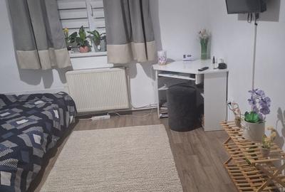 Apartament cu 2 camere decomandat în Mănăștur - 7
