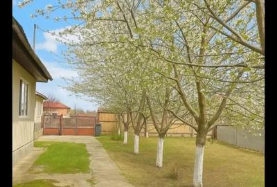 Proprietar vand casa cu teren 2500m2 in Domne?ti Ilfov - 5