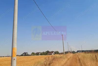 Teren pentru casa/case in Brane?ti pe strada Topora?i
