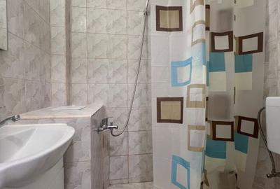 Garsonieră decomandată în Buziașului