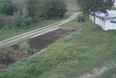 Dorohoi, Botosani - 2