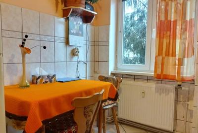 Apartament cu 2 camere semidecomandat în Gojdu - 2
