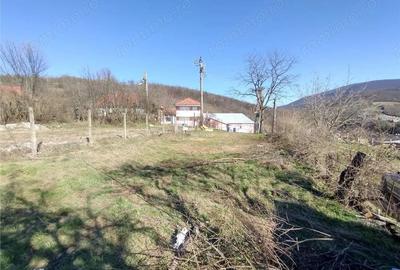 Teren de 2500 mp, în Vest - 11