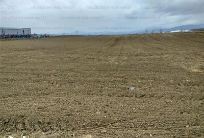 Teren de 5500 mp, în Central - 4