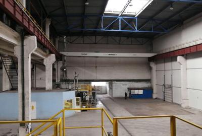 Birouri, spatiu industrial, hale Zona Libera Giurgiu ID 1... - 10