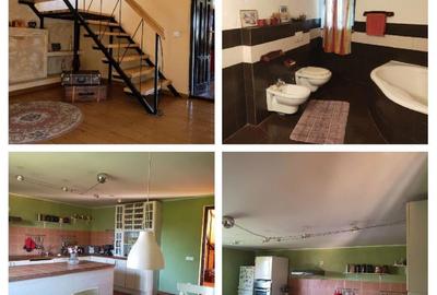 Casă cu 7 camere cu Teren 9800 Mp în Șintereag - 7