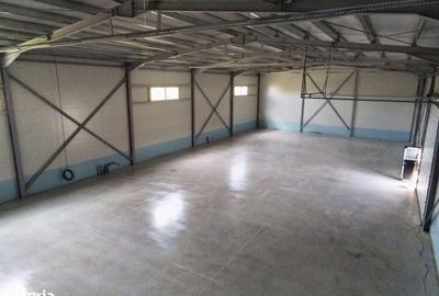 Spațiu comercial, de 530 mp, în Șura Mică - 3