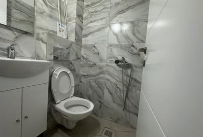 Garsoniera...Calea Aradului ...Fac de agronomie - 1