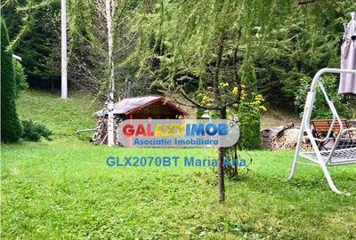Casa de vacanta, la munte, Pojorata, Bucovina! - 5