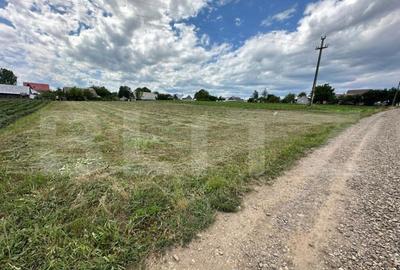 Teren de 3300 mp, în Central - 4