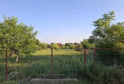 Casă cu 3 camere în Sânandrei - 1