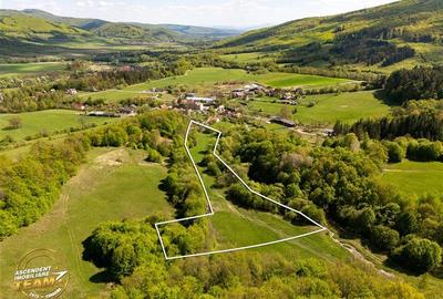 Teren agricol extravilan de 11306 mp, în Malnaș-Băi - 9