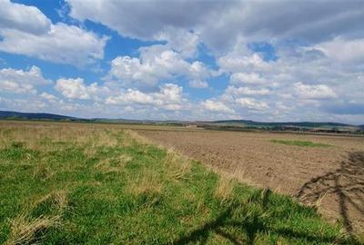 Teren  de 29 arii de vanzare pe strada Vladeasa, Targu Mures - 5