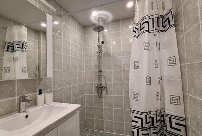 Garsonieră în Șagului