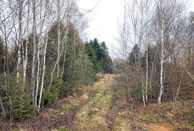 Spațiu comercial, în Viștișoara - 5