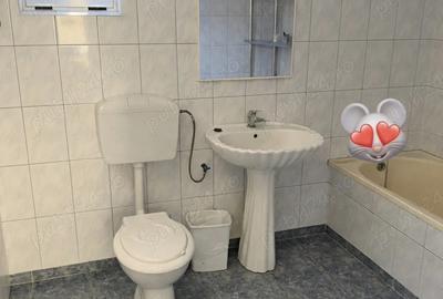 Casă cu 8 camere în Ologeni - 2