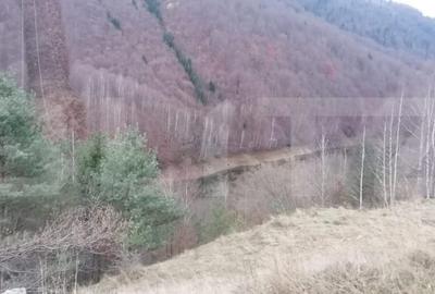 Teren de 140000 mp, în Central - 1