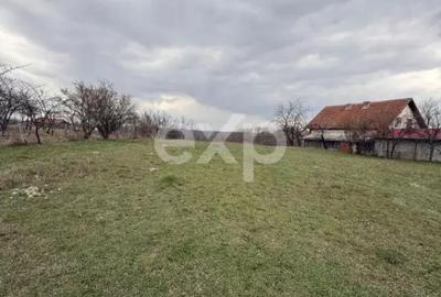 Teren în Drăganu - 4