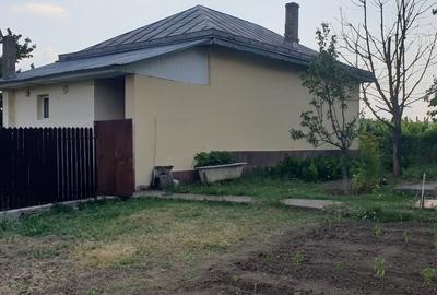 Casă individuală cu 4 camere cu Teren 6000 Mp în Răcătău-Răzeși - 3