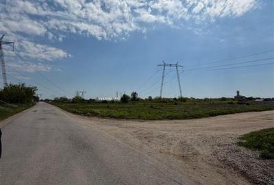 Teren Construcții intravilan de 4763 mp, în Berceni - 2
