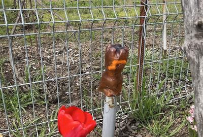 Spațiu comercial, în Corbeanca - 2