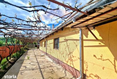 Casă cu 3 camere cu Teren 2254 Mp în Mănăstirea Cașin - 16
