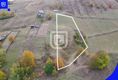 Teren Construcții extravilan de 1500 mp, în Nord - 5