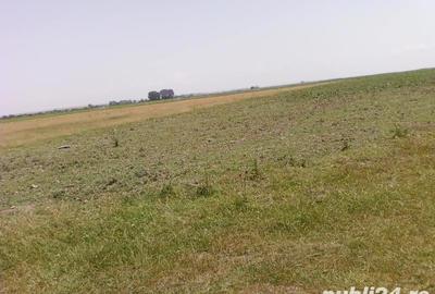 Teren de 9.5 mp, în Ceamurlia de Jos - 2