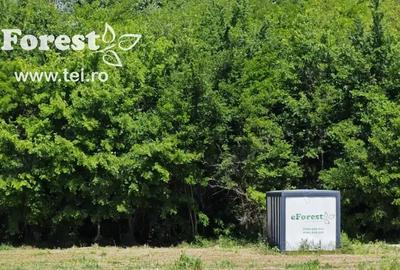 Casă cu Teren 720 Mp în Crevedia - 9