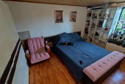 Casa P+1 400 mp teren Godeanu Carrefour Colosseum - 7