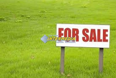 Teren Construcții intravilan de 14700 mp, în Exterior Vest - 3