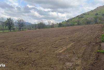 Teren de 1100 mp, în Greci - 2