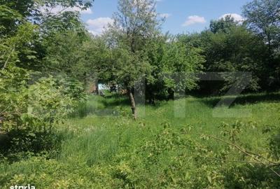 Spațiu comercial, în Paltin - 1