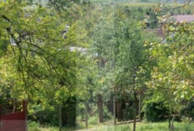 Blitz va ofera spre vanzare casa cu teren generos in Covas? - 5