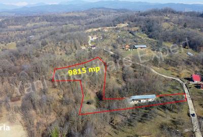 Casă cu 3 camere în Cerbu - 11