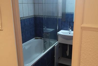 Apartament 3 camere Brancoveanu - Budimex - Nițu Vasile - 9