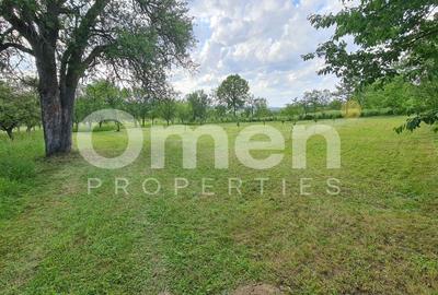 Teren Construcții intravilan de 1700 mp, în Vălenii Șomcutei - 2