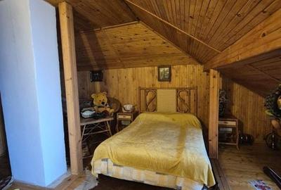 Casa Saftica/Balotesti - 7