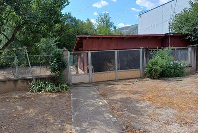 Vind casa in Baile Herculane - 9