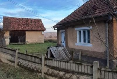 Casă cu 2 camere în Șoimeni - 8