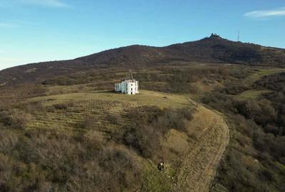 Castel cu vedere panoramica pe dealul ?iriei - 4