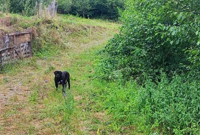 Spațiu comercial, în Malaia - 3