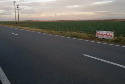 Teren de 15000 mp, în Topolovățu Mare - 1