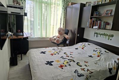 Casă individuală cu 10 camere cu Canalizare în Doamna Ghica - 36