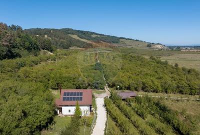 Comision 0%! Vila moderna, in mijlocul naturii - 25