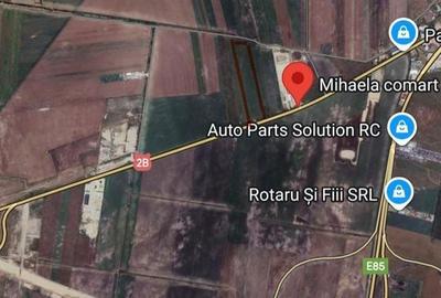 Teren de 6500 mp, în Spătaru - 1