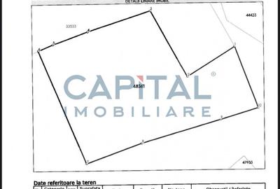 Teren intravilan pe drumul Lupacului 12 euro mp, 13782 mp si 1069 mp extravilan - 2